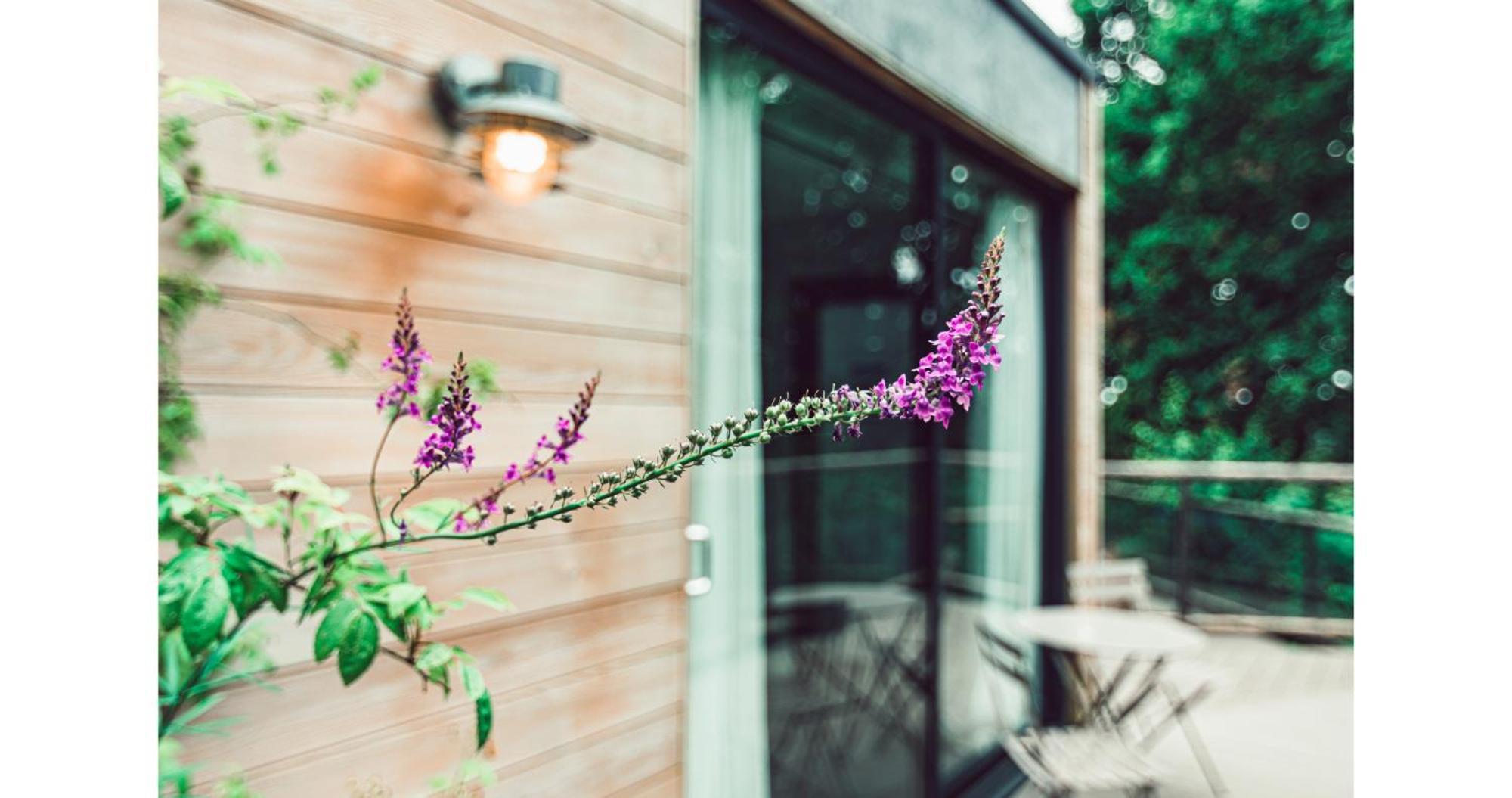 Clophill Eco Lodges Exterior foto